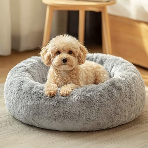 JOLLYVOGUE Small Dog Bed, Calming Dog Beds by JOLLYVOGUE