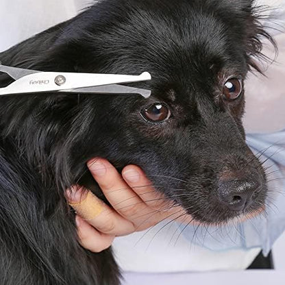 Chibuy Professional Pet Grooming Scissors - Image 5