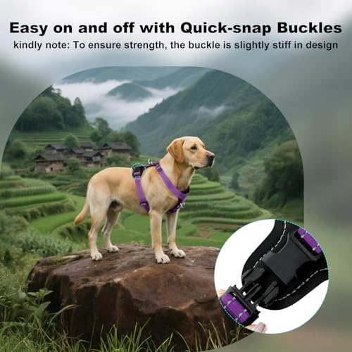 Plutus Pet No Pull Dog Harness - Image 6