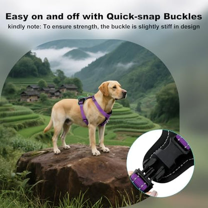 Plutus Pet No Pull Dog Harness - Image 6