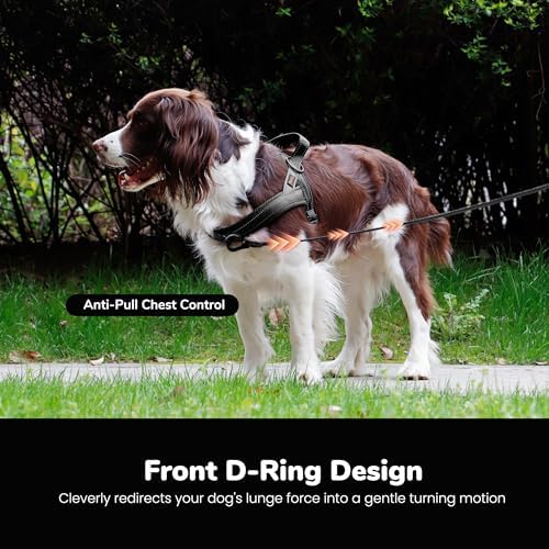 Didog No Pull Dog Harness for Small Dogs, Breathable Mesh Padded - Image 5