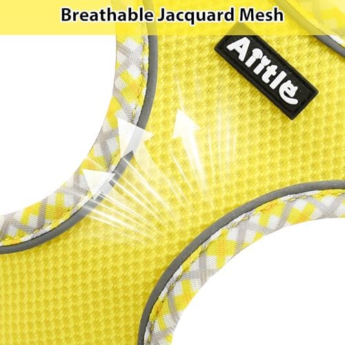 AIITLE Tiny Dog Harness and Leash Set, Step-in Vest - Image 5