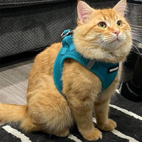 Voyager Step-in Air Cat Harness & Leash Set - Image 7