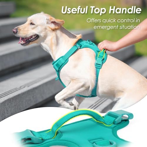 Sunraymascota No Pull Dog Harness - Image 6