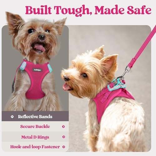 rabbitgoo Dog Harness Small Sized and Leash Set, Step-in Puppy Pet Vest - Image 5