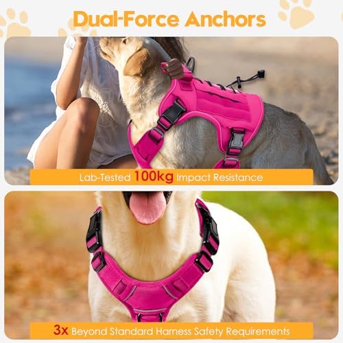 Heavy-Duty Tactical Dog Harness - Image 4