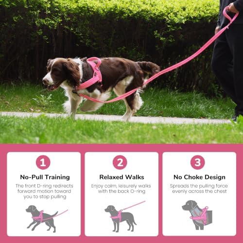 Didog No Pull Dog Harness for Medium Dogs, Soft Flannel Padded - Image 4