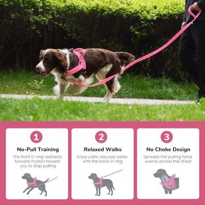 Didog No Pull Dog Harness for Large Dogs, Soft Flannel Padded - Image 4