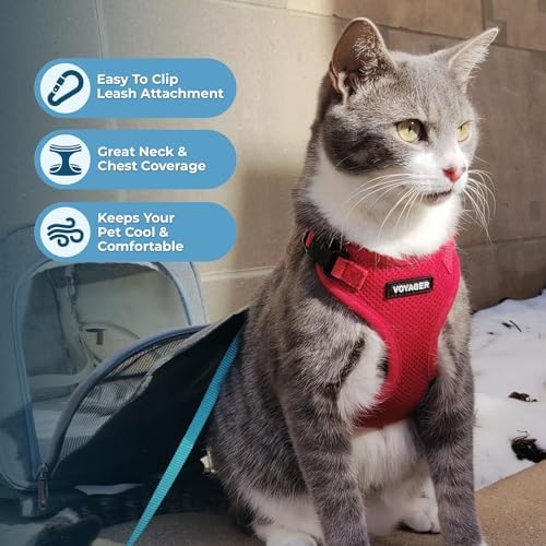 Voyager Step-in Lock Cat Harness & Leash Set - Image 5