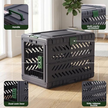 Collapsible Dog Crate for Small/Medium Dogs - Image 4