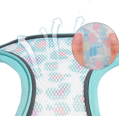 Step in Mesh Dog Harness and Leash Set - Image 4