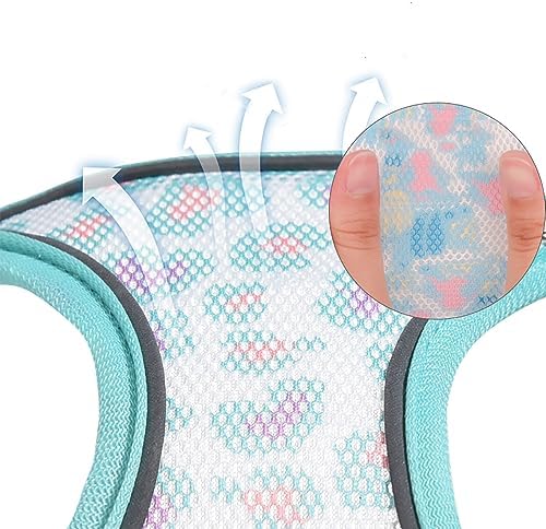 Step in Mesh Dog Harness and Leash Set - Image 4