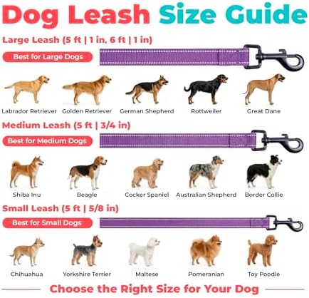 Best Pet Supplies Voyager Nylon Dog Leash - Image 6