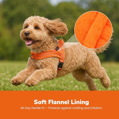 Didog No Pull Dog Harness for Small Dogs, Soft Flannel Padded - Image 2