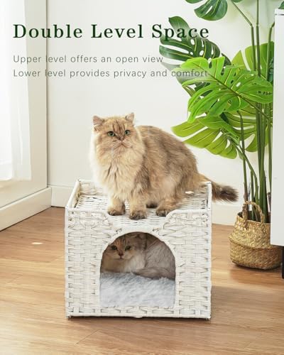 SETVSON Cat Beds Indoor Kitten House, Handwoven Rattan Cave - Image 2