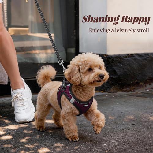No Pull Dog Puppy Harness and Leash Set Reflective Mesh Vest XX-Small - Image 6