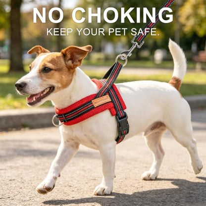 BEAUTYZOO Small Dog Harness and Leash Set, No Pull Step in Puppy Vest - Image 2