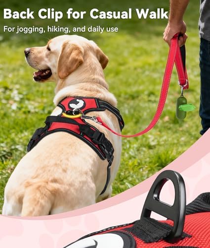 Joytale No Pull Dog Harness for Small Dogs, Front Clip - Image 4