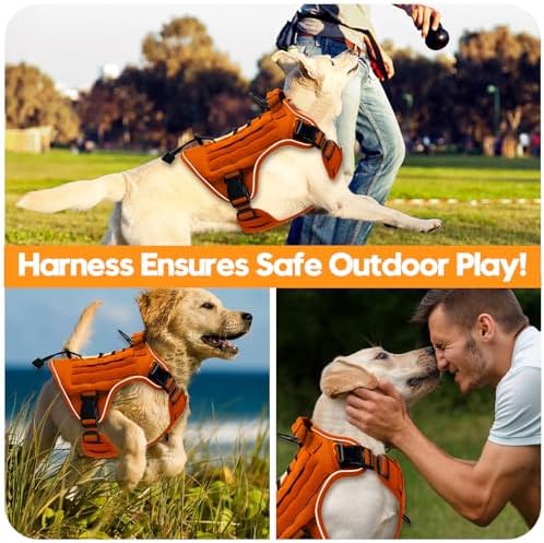 Heavy-Duty Tactical Dog Harness - Image 6