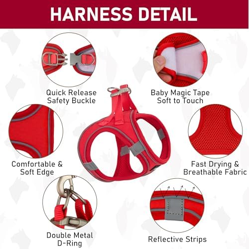 GAMUDA Small Pet Harness Collar and Leash Set, Step in No Chock No Pull Linen - Image 3