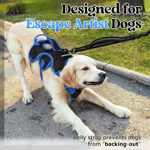 rabbitgoo Escape Proof Dog Harness - Image 4