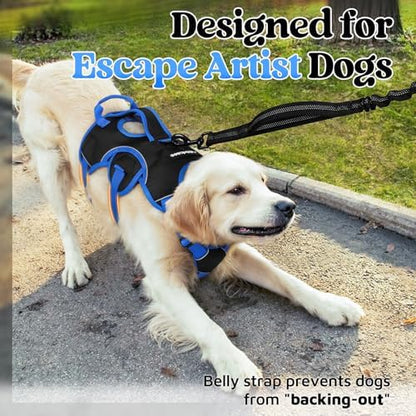 rabbitgoo Escape Proof Dog Harness - Image 4