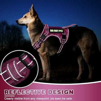 WINSEE Tactical Dog Harness, No Pull Dog Harness - Image 4