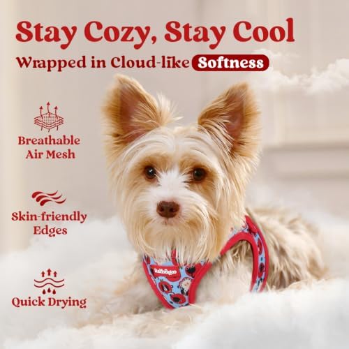 rabbitgoo Step-in Small Dog Harness, Puppy Vest - Image 3