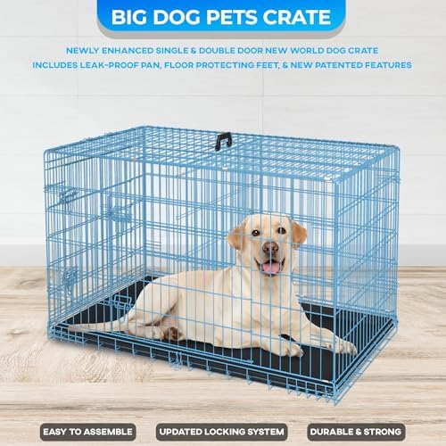 FDW | 42" Foldable Metal Dog Crate | Blue | Cage - Image 4
