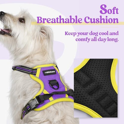 rabbitgoo Dog Harness, No Pull for Small Dogs - Image 2