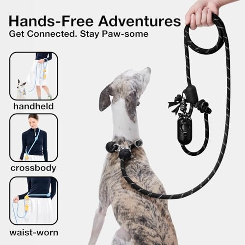 VETRESKA Hands-Free Reflective Dog Leash, 8FT Leash - Image 2