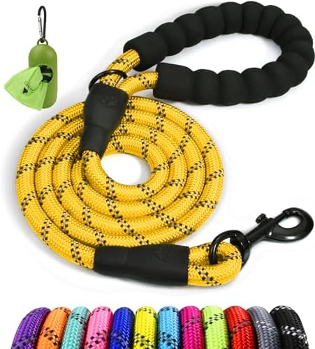 Taglory Rope Dog Leash for Small Medium Dogs, 4 FT Padded Handle by Taglory