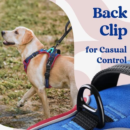 rabbitgoo Dog Harness Small Sized, Updated Easy On & Off - Image 5