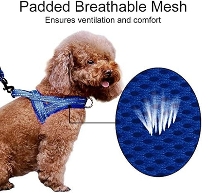 Plutus Pet No Pull Dog Harness for Large Dogs, Breathable Mesh Padded - Image 3