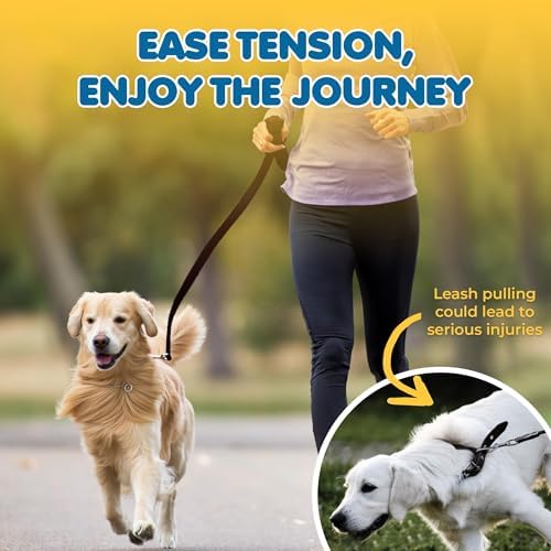 SunGrow Pet Training Leash, Heavy-Duty Polypropylene Walking Leash, 360-degree - Image 4