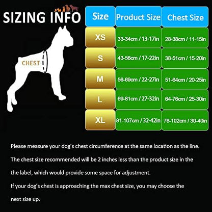 JUXZH Truelove No Pull Dog Harness - Image 2