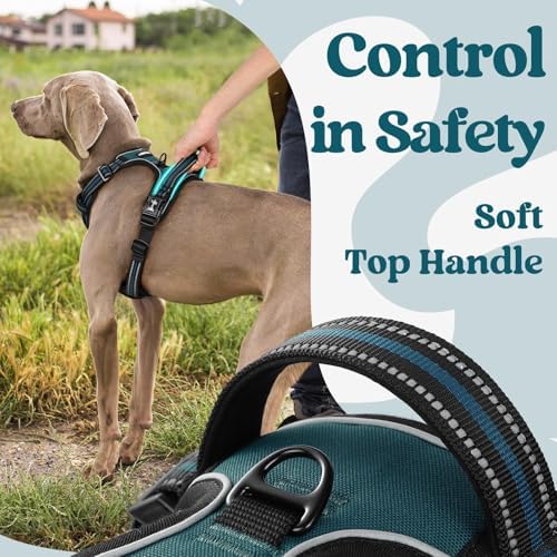 rabbitgoo Dog Harness Medium Sized, Updated Easy On & Off - Image 5