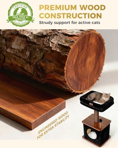 Small Cat Tree for Indoor Kittens - Image 4