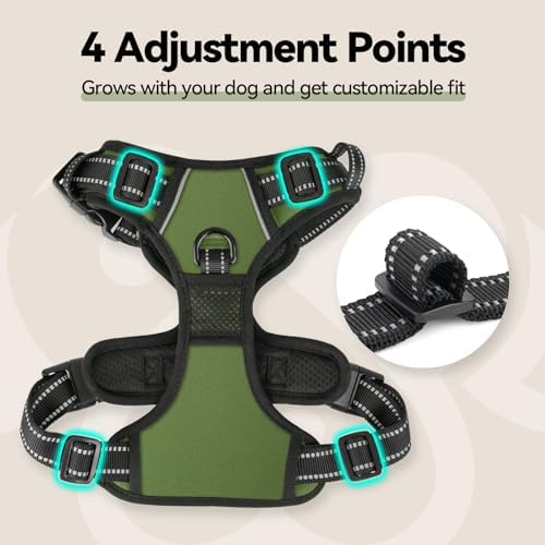 PHOEPET No Pull Dog Harness - Image 7