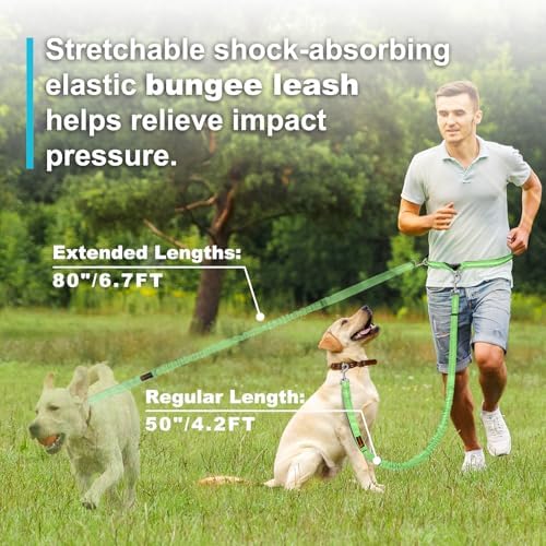 Laqibak Hands Free Dog Leash, Adjustable Waist Leash - Image 3