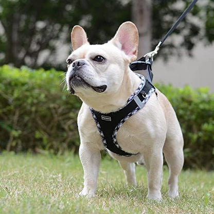 Mercano Soft Mesh Dog Harness and Leash Set, Step-in Reflective Breathable - Image 4