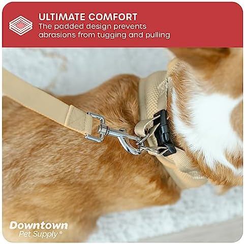 Downtown Pet Supply Step-in Dog Harness – No Pull, Adjustable Padded Mesh - Image 6