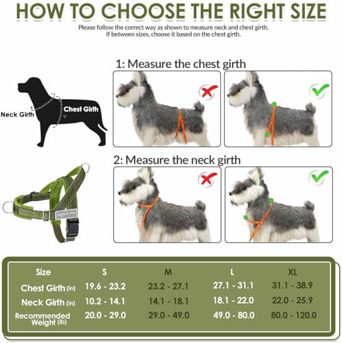 Lukovee No Pull Dog Harness and Leash Set, Soft Padded - Image 5