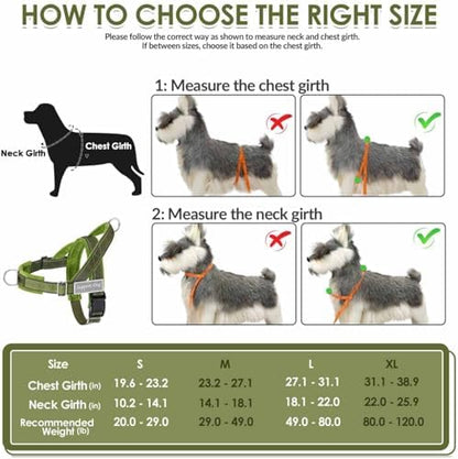 Lukovee No Pull Dog Harness and Leash Set, Soft Padded - Image 5