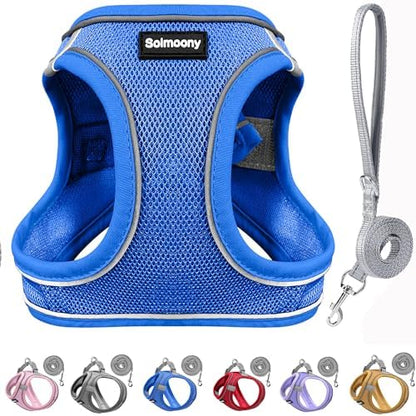 Solmoony Sparkly Medium Dog Harness and Leash Set, Step in Soft Light Puppy Vest by SOLMOONY