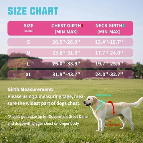 AUROTH Dog Harness and Leash Set - Image 6