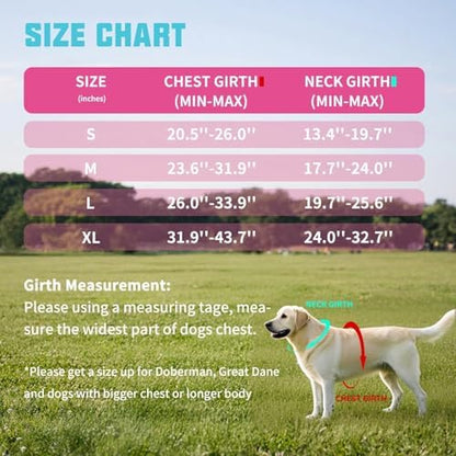 AUROTH Dog Harness and Leash Set - Image 6
