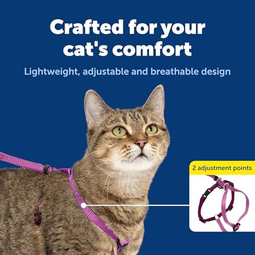 PetSafe Come with Me Kitty Harness and Bungee Cat Leash, Dusty Rose - Image 4