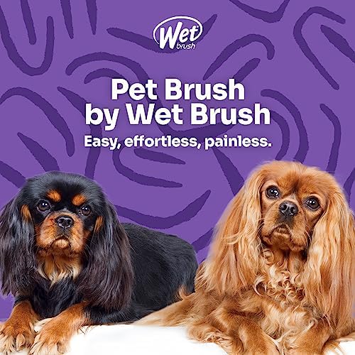 Wet Brush Ultimate Dual-Sided Detangling Brush - Image 6