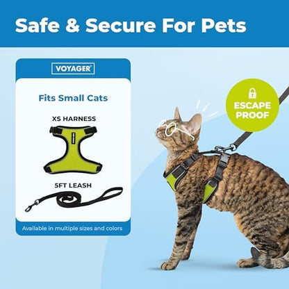 Voyager Escape-Proof Step-in Harness & Leash - Image 2